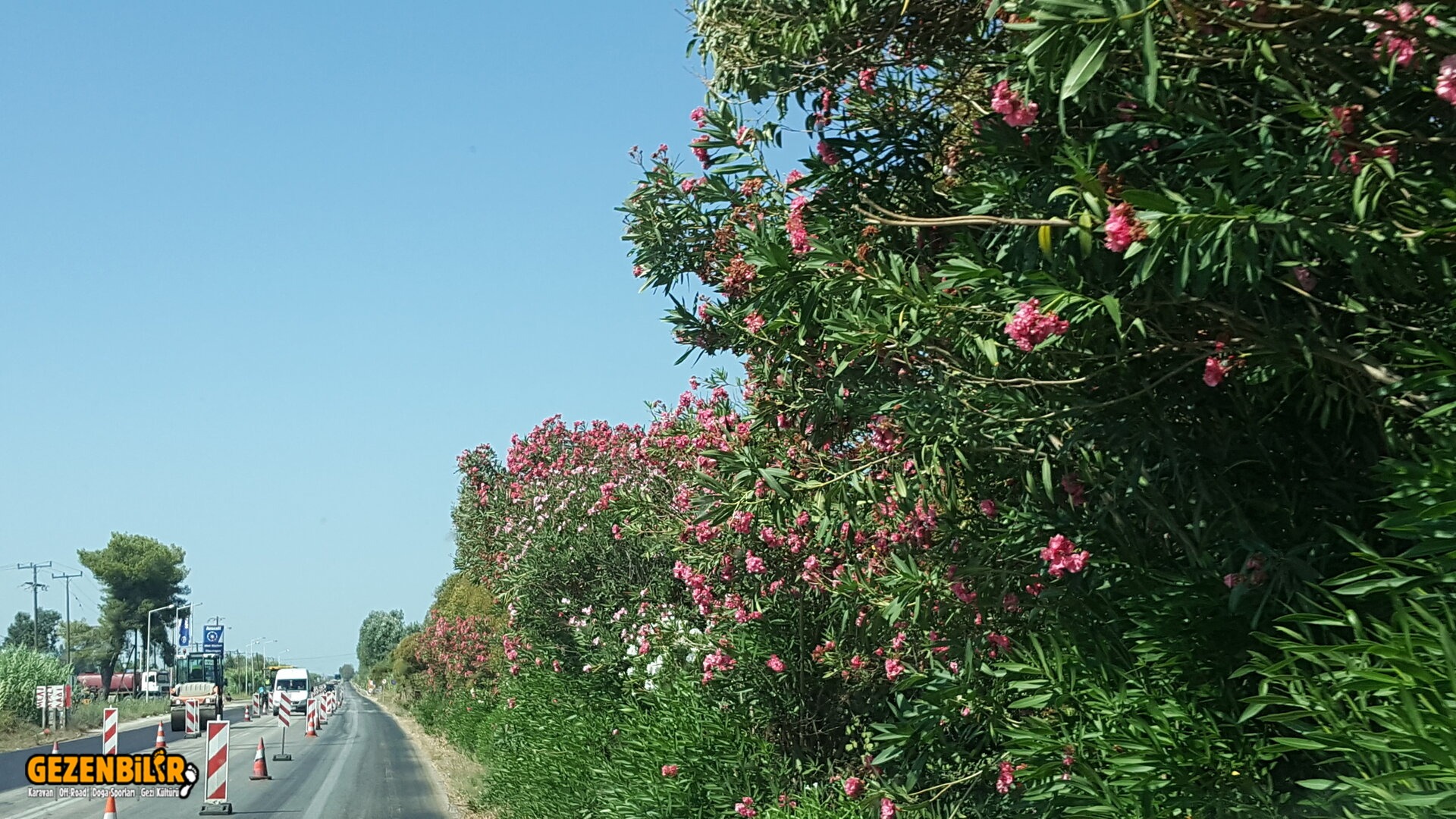 20220729_105404.jpg