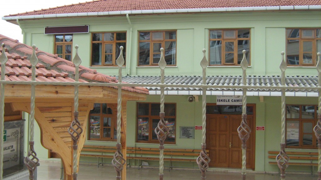 204.JPG