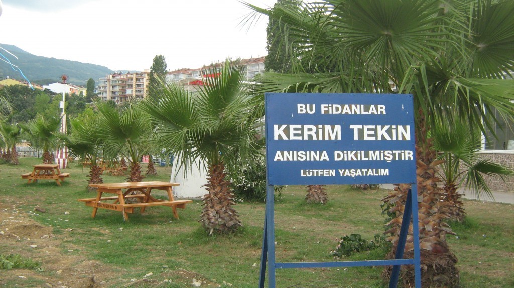 209.JPG