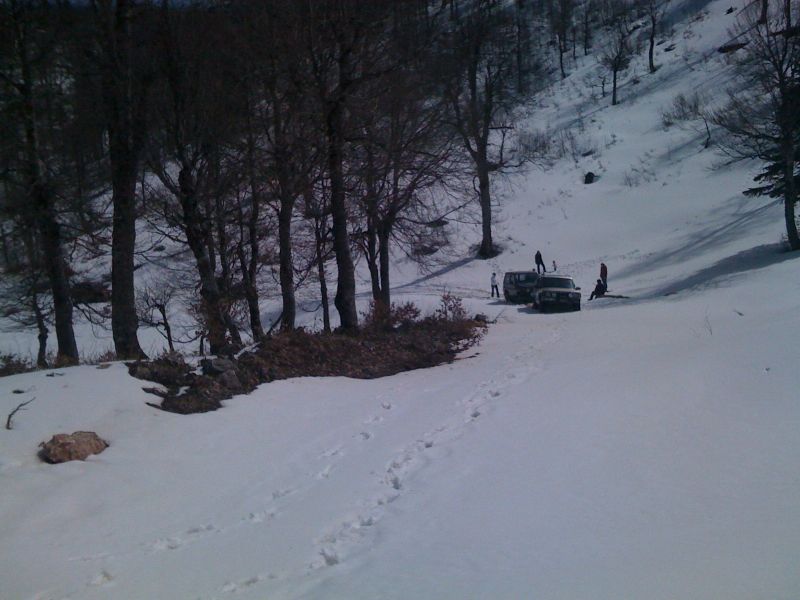 21.MART.2010  KELTEPE 002.jpg