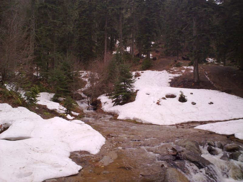 21022010566.jpg