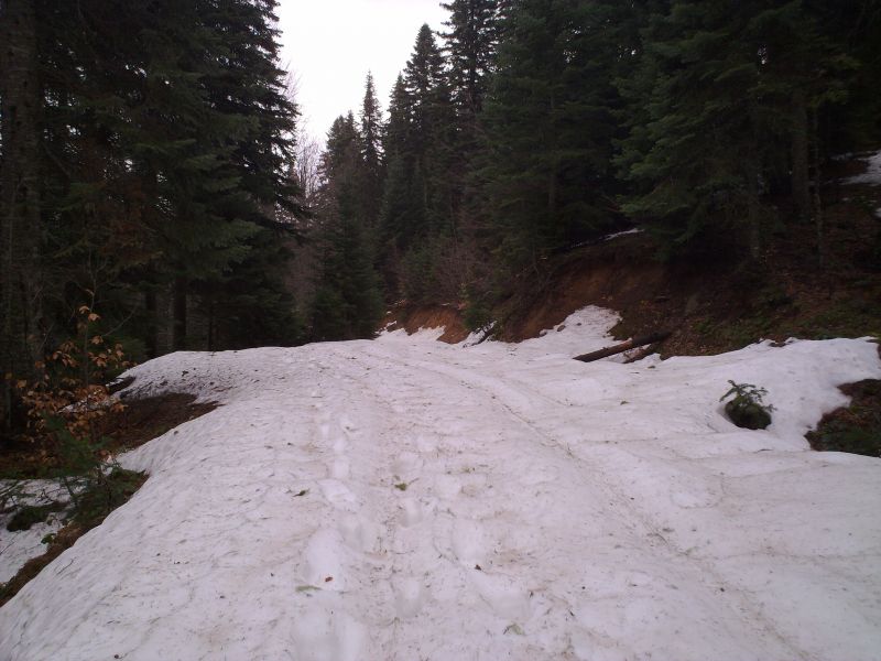 21022010567.jpg