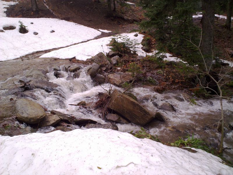 21022010568.jpg