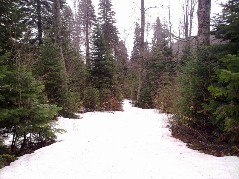 21022010569.jpg