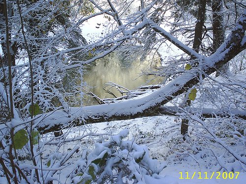 2141516369_cacd67abc0.jpg