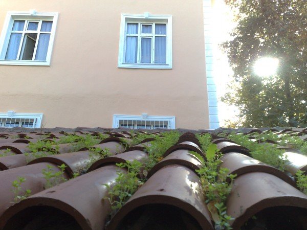 22.10.2009 KANUN? SULTAN SÜLEYMAN KÖPRÜSÜ KOCA M?MAR S?NAN ESER? (38).jpg