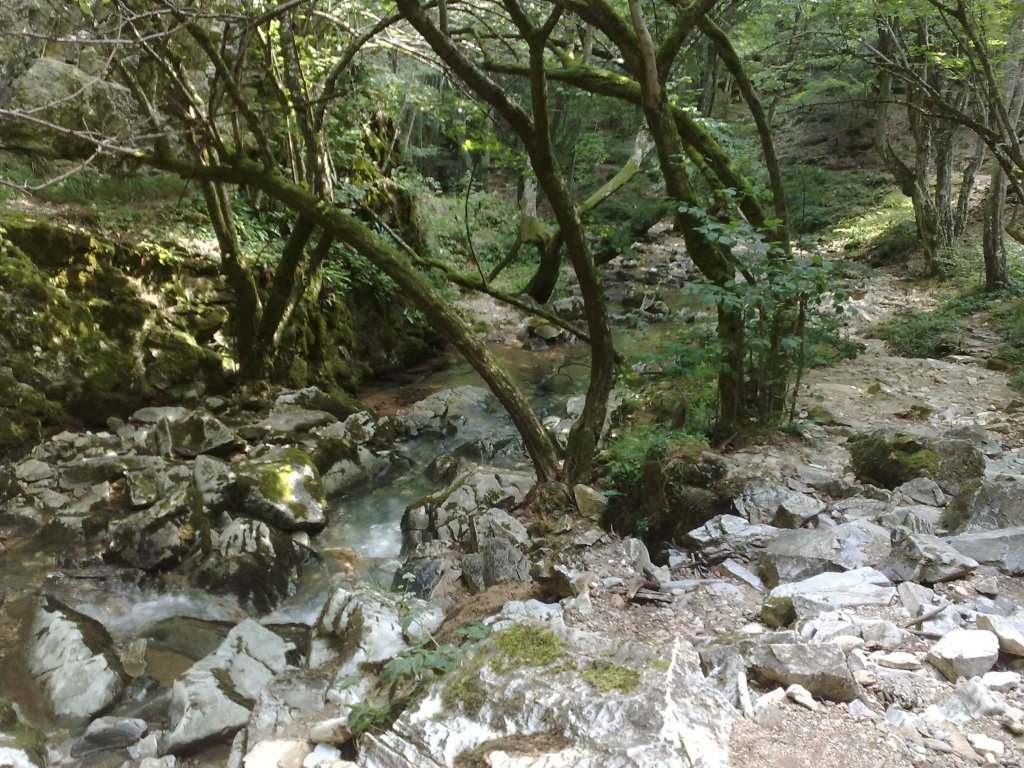 22072010946.jpg