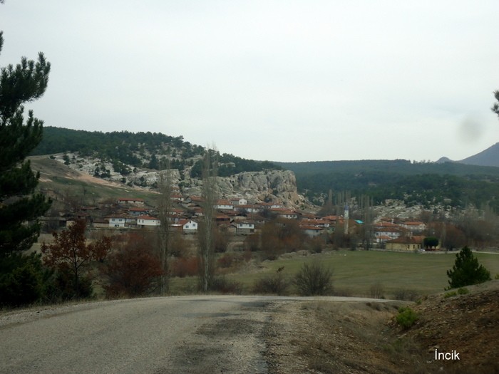 221.JPG