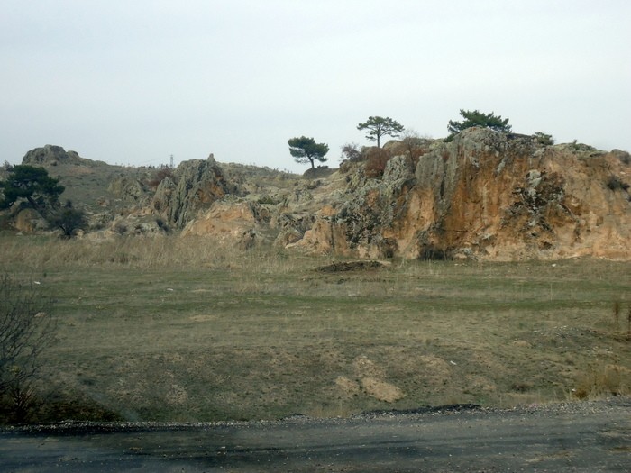 223-8.JPG