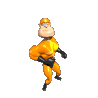 229561.jpg