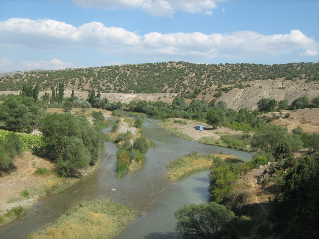 230.JPG