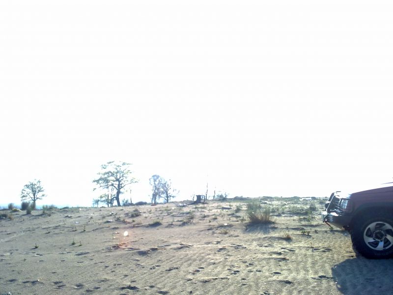 23042010267.jpg