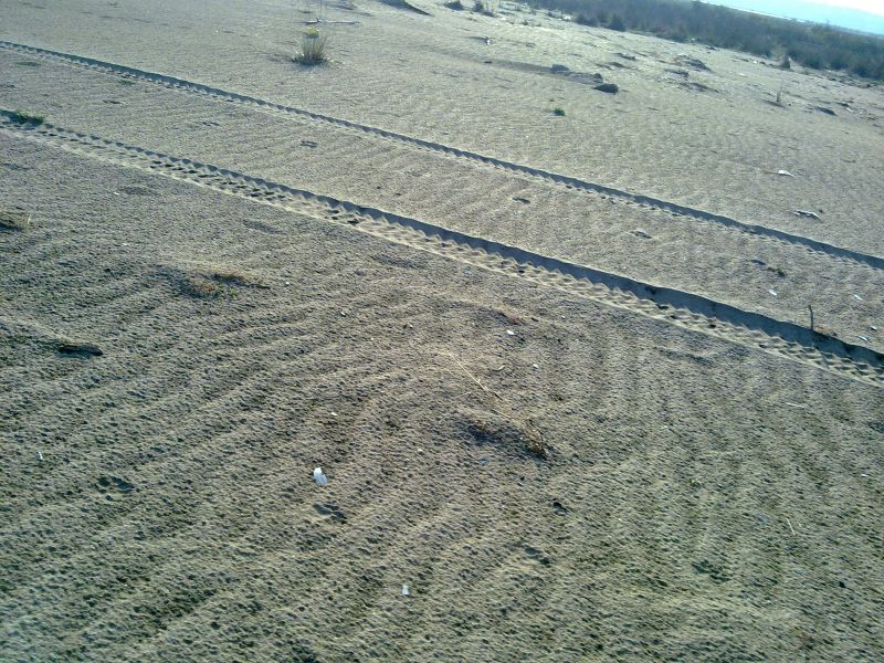 23042010275.jpg