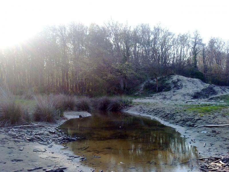 23042010280.jpg
