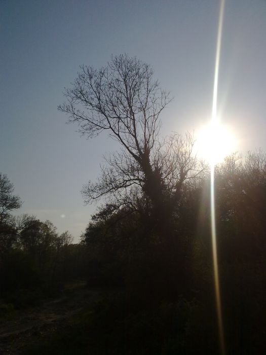 23042010282.jpg
