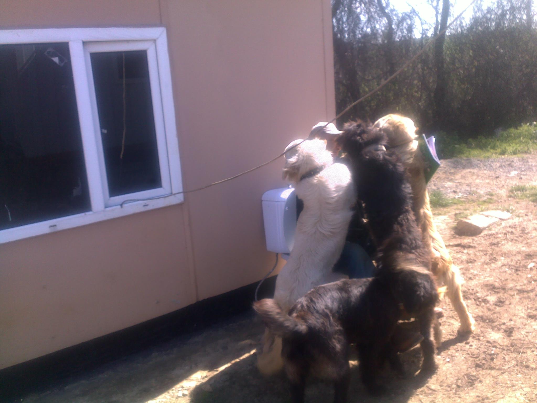 23042011099.jpg