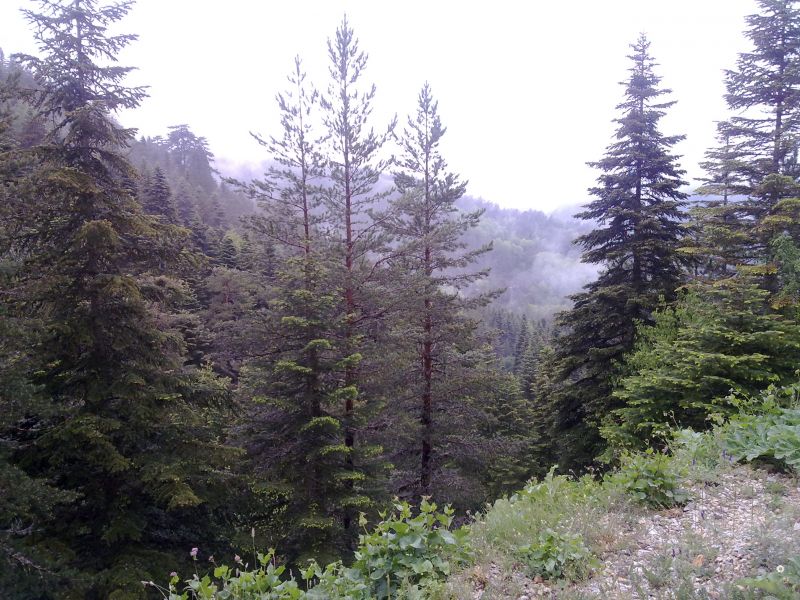 23052010153.jpg