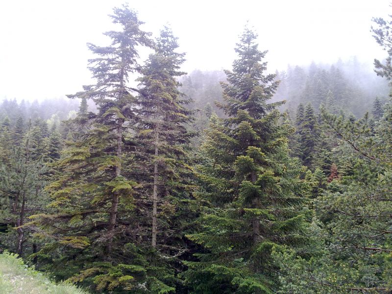 23052010154.jpg