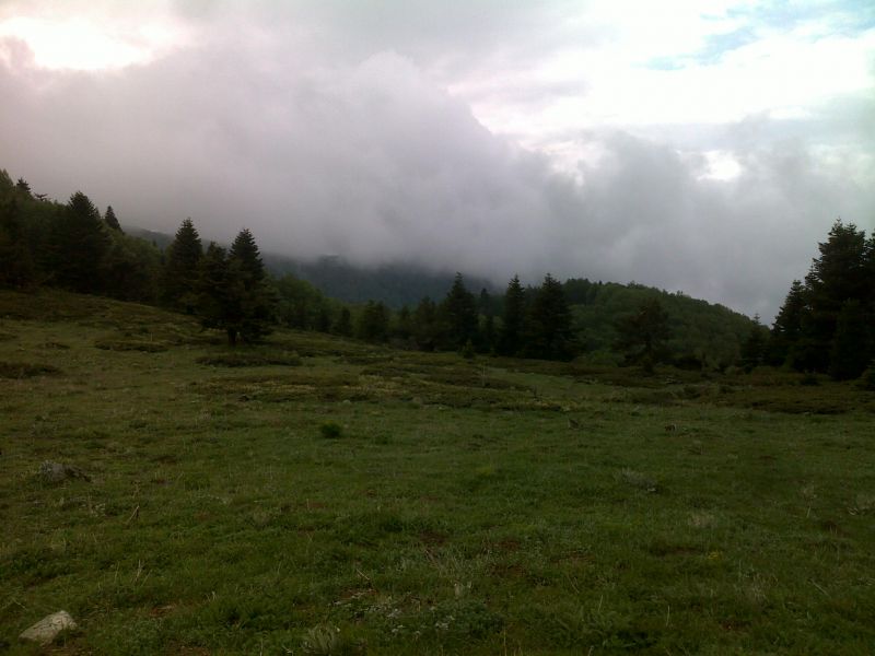 23052010560.jpg