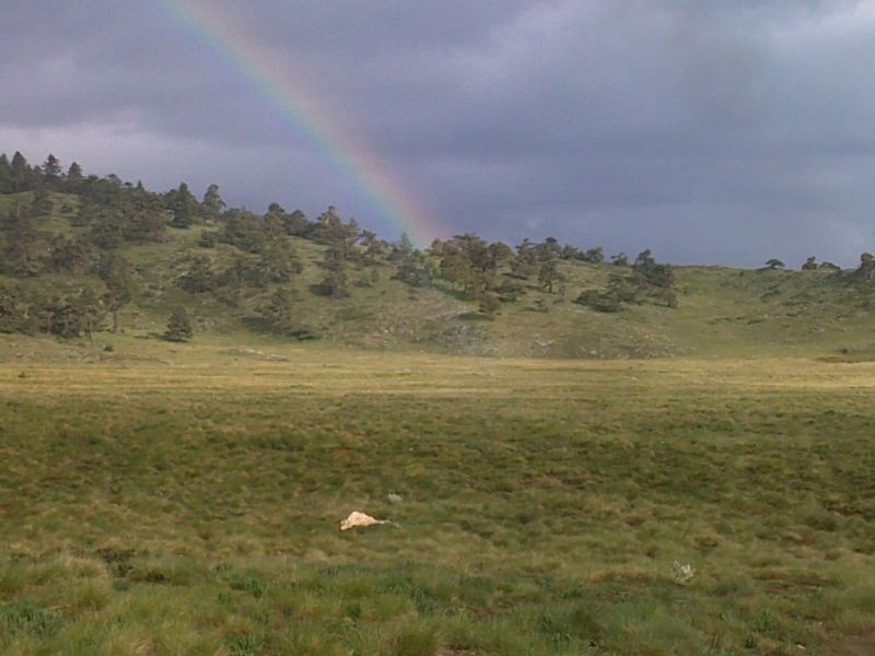 23052010562.jpg