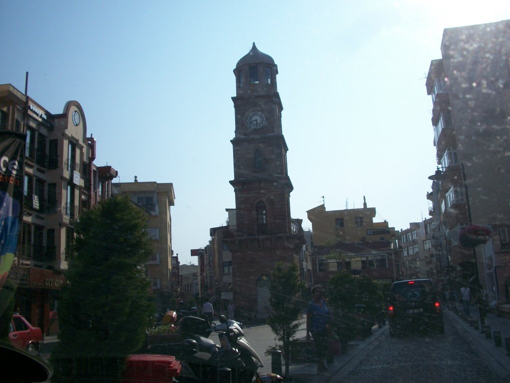 231.JPG