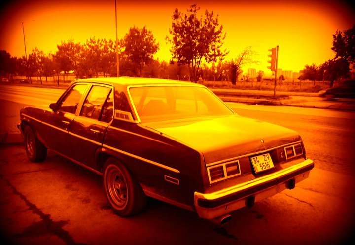 231166_10150205836827941_581532940_7051319_4153237_n.jpg