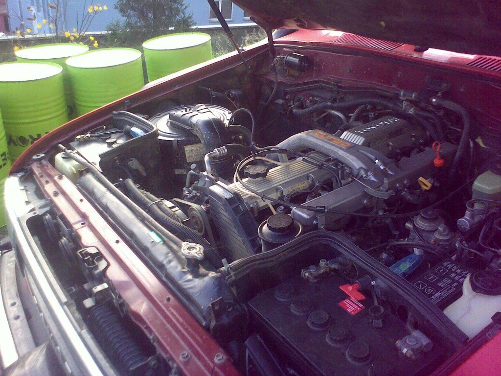23122009260.jpg