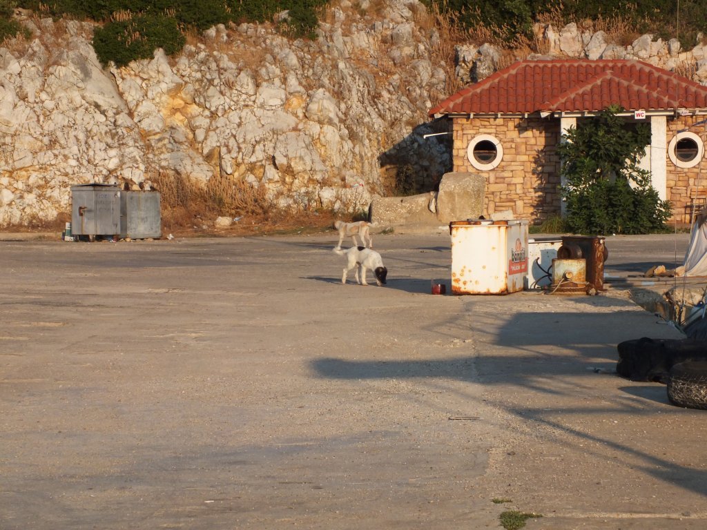 235.JPG
