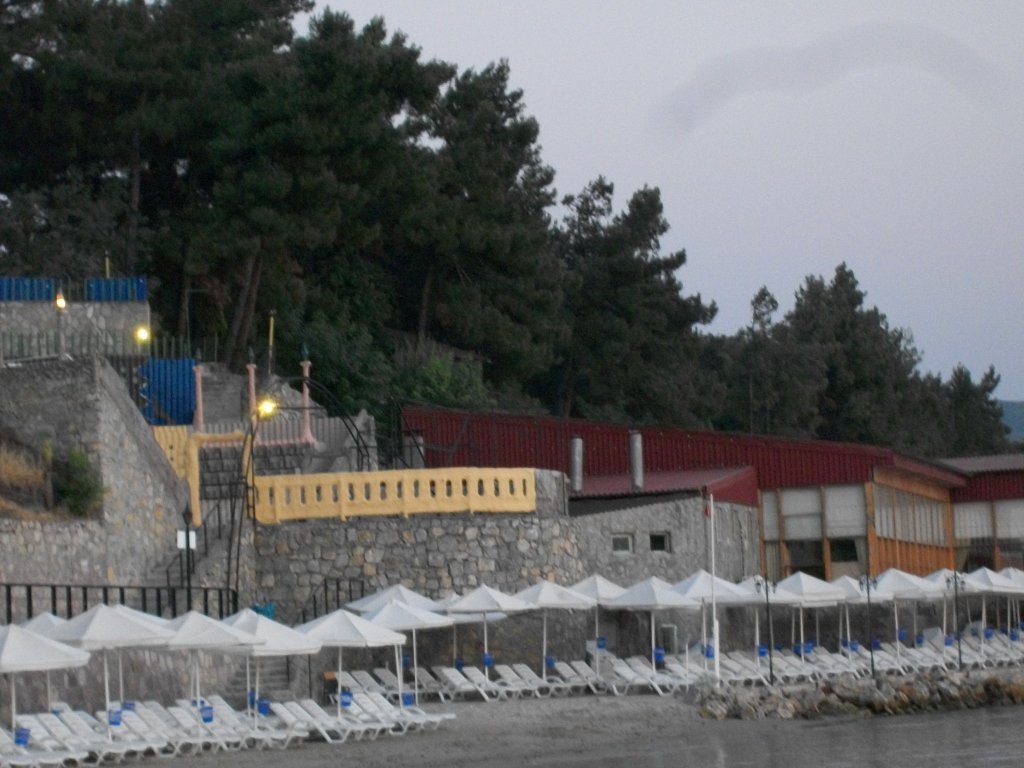 235.JPG