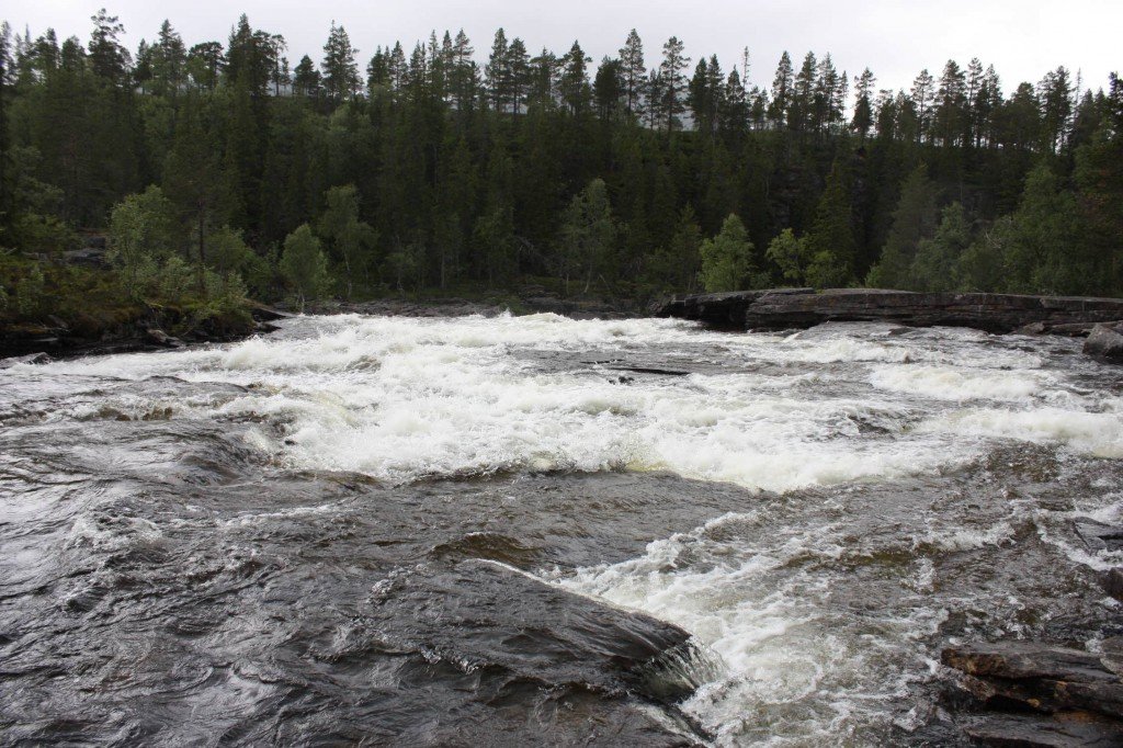 23IMG_8465.jpg