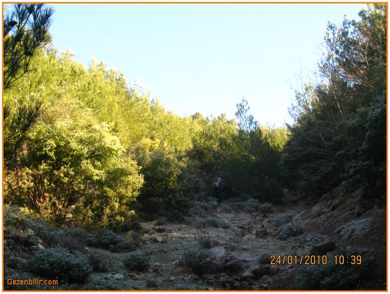 24 Ocak 10 - Nif  026.jpg