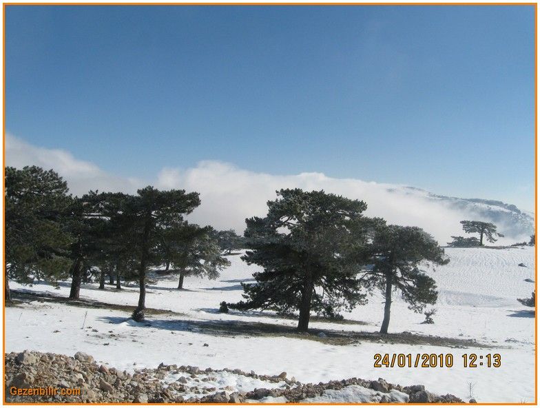 24 Ocak 10 - Nif  041.jpg