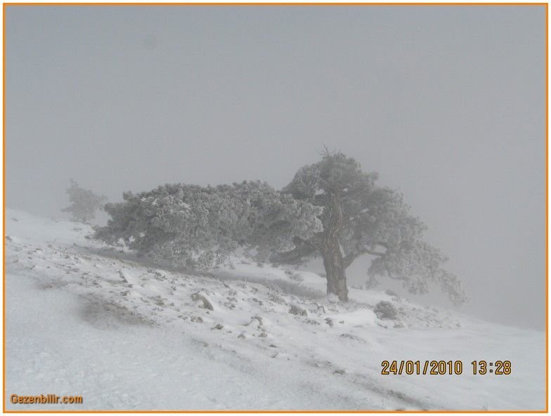 24 Ocak 10 - Nif  060.jpg