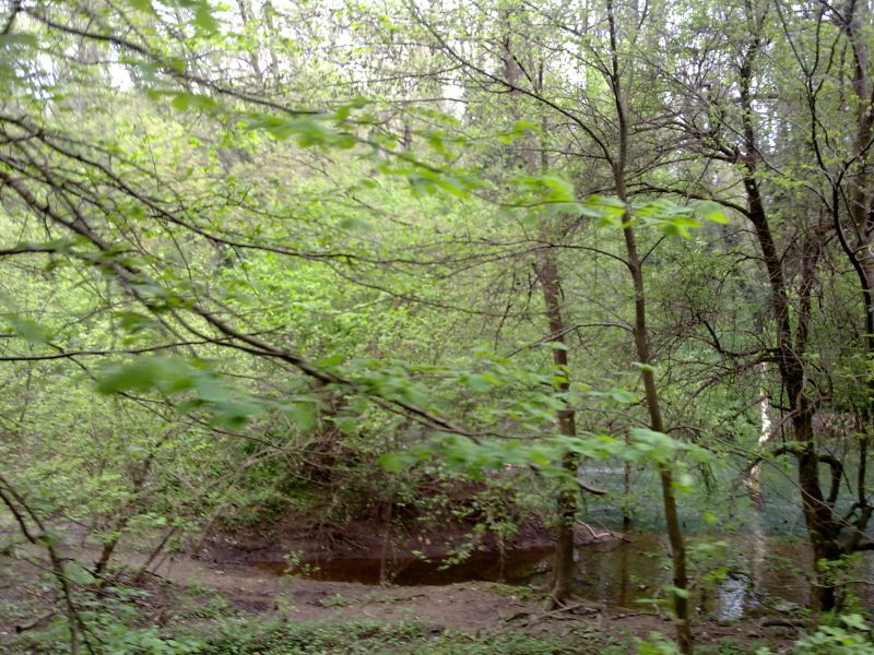 24042010297.jpg