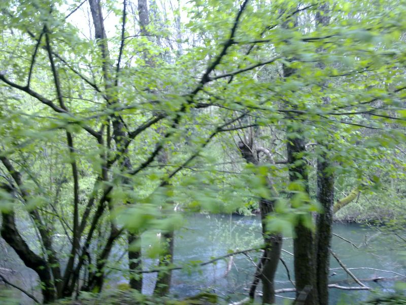 24042010298.jpg