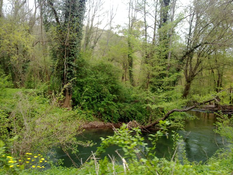 24042010299.jpg
