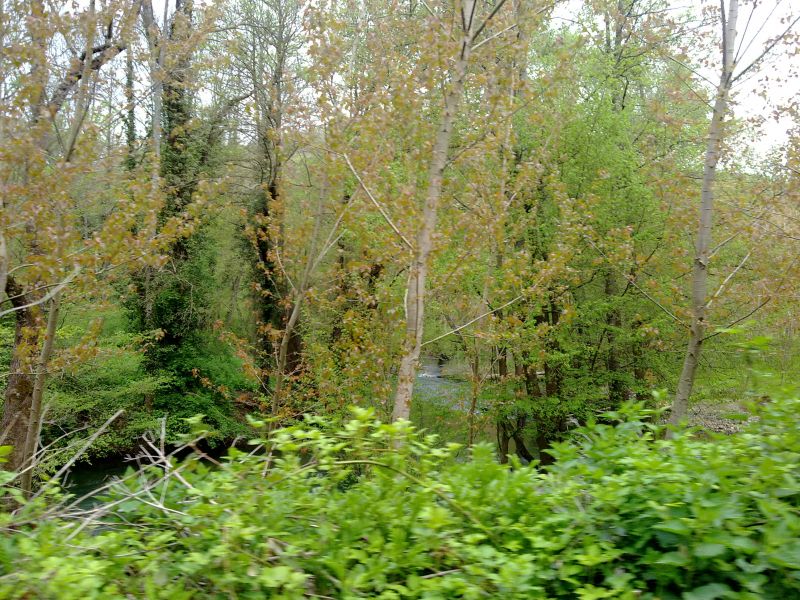 24042010300.jpg