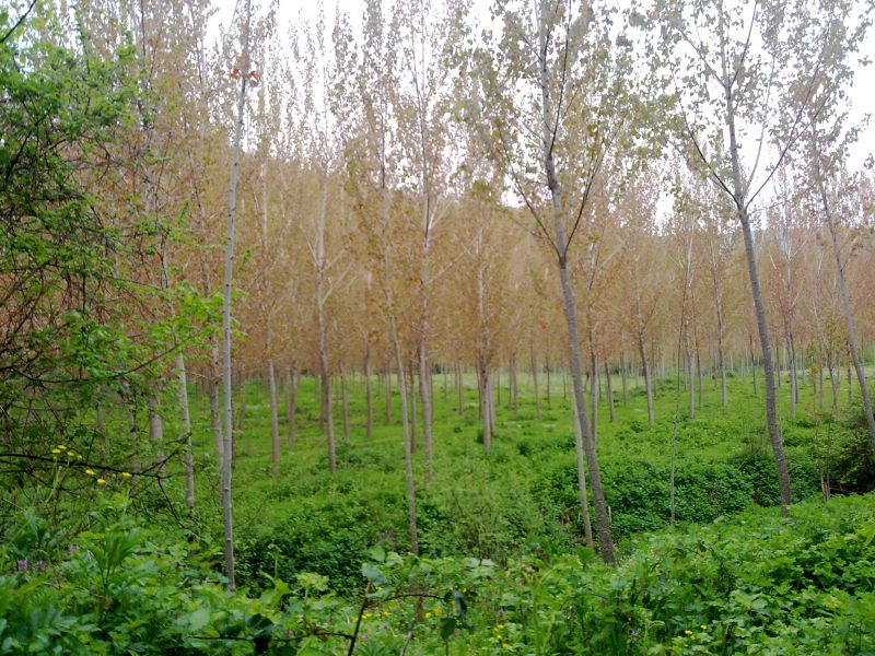 24042010301.jpg