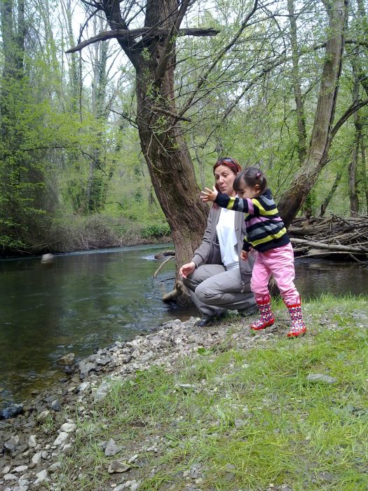 24042010310.jpg