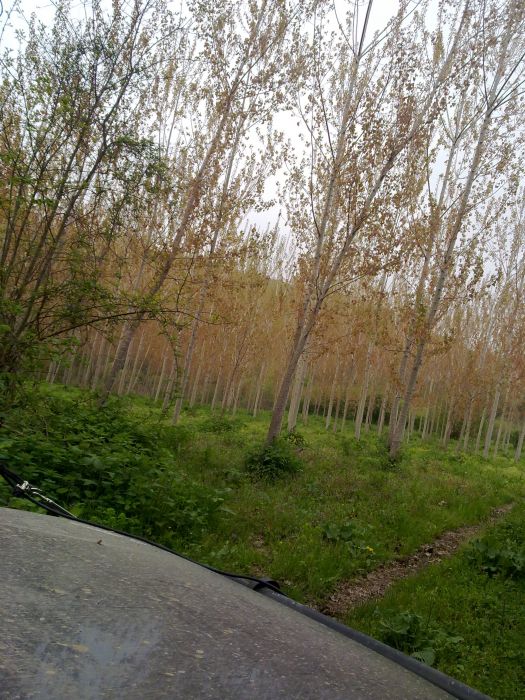 24042010340.jpg