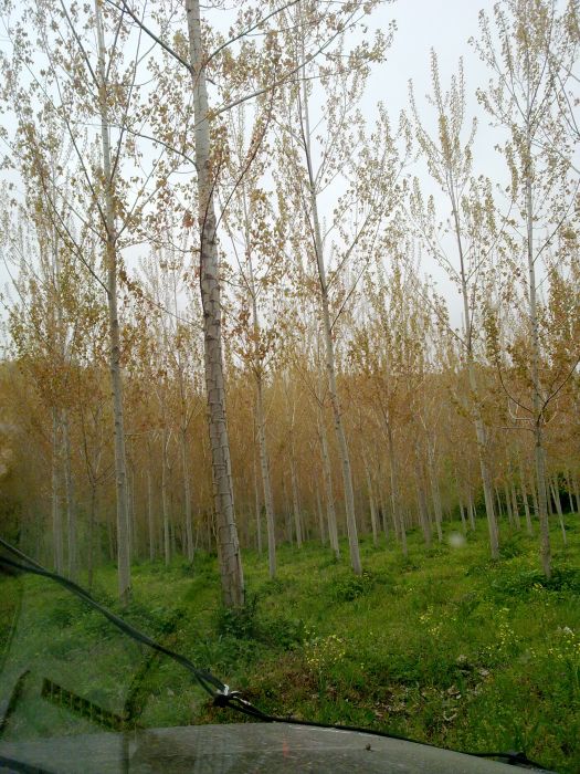 24042010341.jpg
