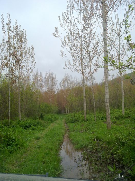 24042010342.jpg