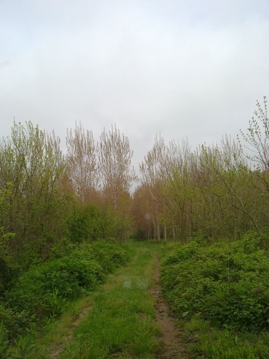 24042010343.jpg