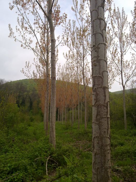 24042010344.jpg