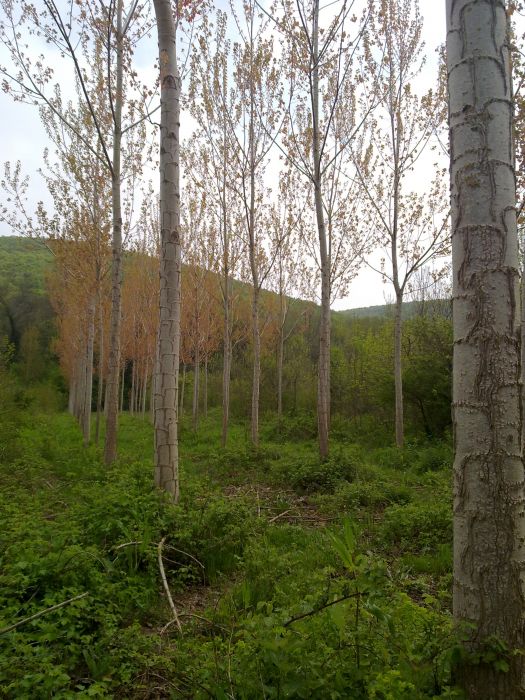 24042010346.jpg