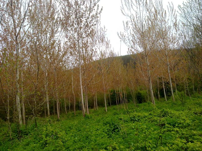 24042010347.jpg