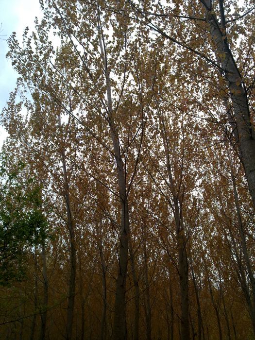 24042010350.jpg