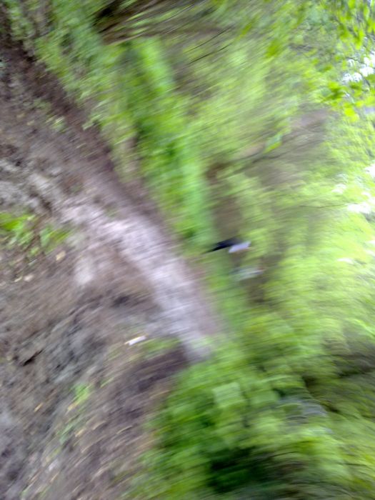 24042010358.jpg