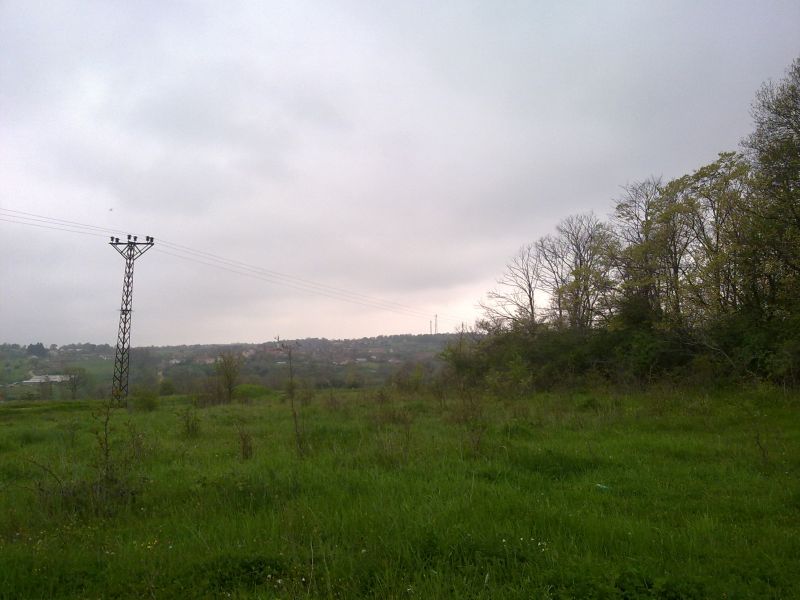 24042010363.jpg