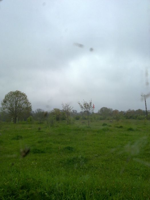 24042010364.jpg